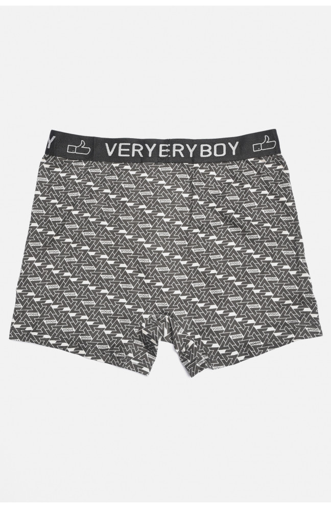 Боксеры мужские чёрного цвета 196478L