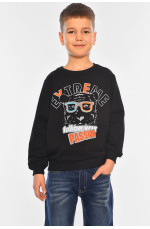 Свитшот детский для мальчика черного цвета 196569L