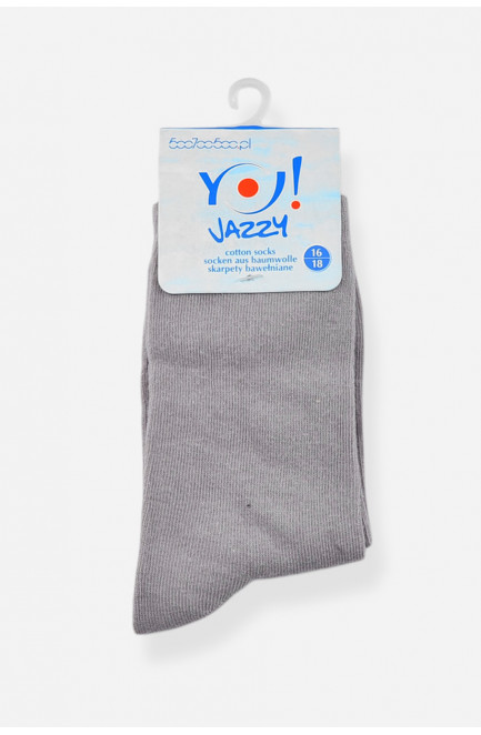 Носки детские демисезонные серого цвета 198492L