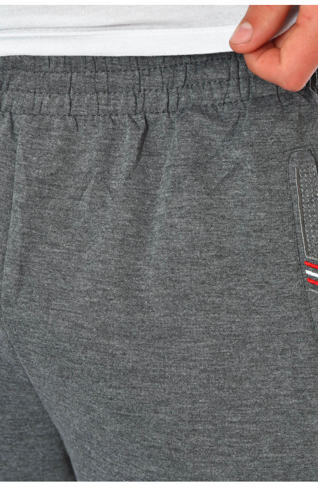 Шорты мужские серого цвета 200586L