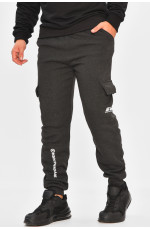 Спортивные штаны мужские на флисе темно-серого цвета 206832L