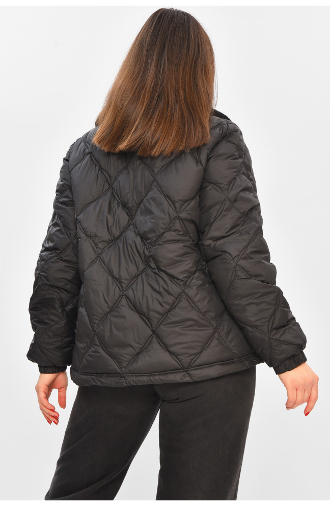 Куртка женская демисезонная черного цвета 208558L
