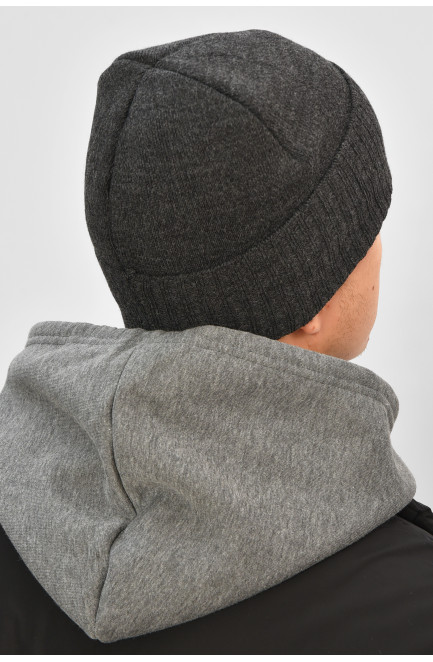 Шапка мужская на флисе серого цвета 208578L