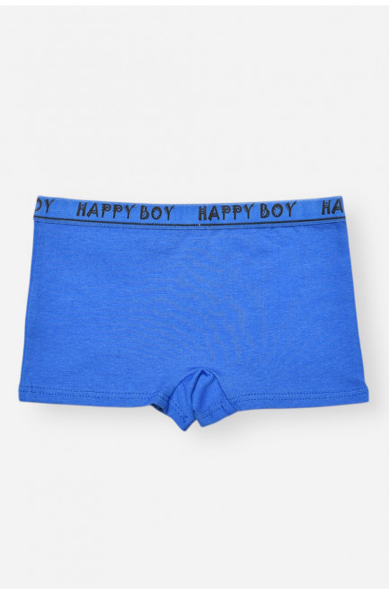 Боксеры детские для мальчика синего цвета с принтом 208915L