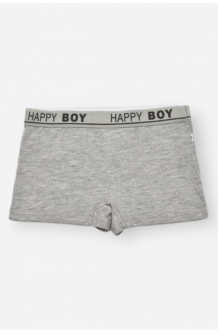 Боксеры детские для мальчика серого цвета с принтом 209265L