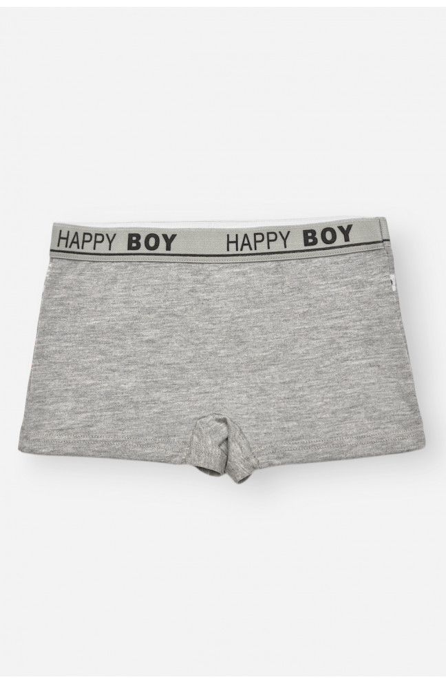 Боксеры детские для мальчика серого цвета с принтом 209265L