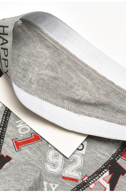 Боксеры детские для мальчика серого цвета с принтом 209265L