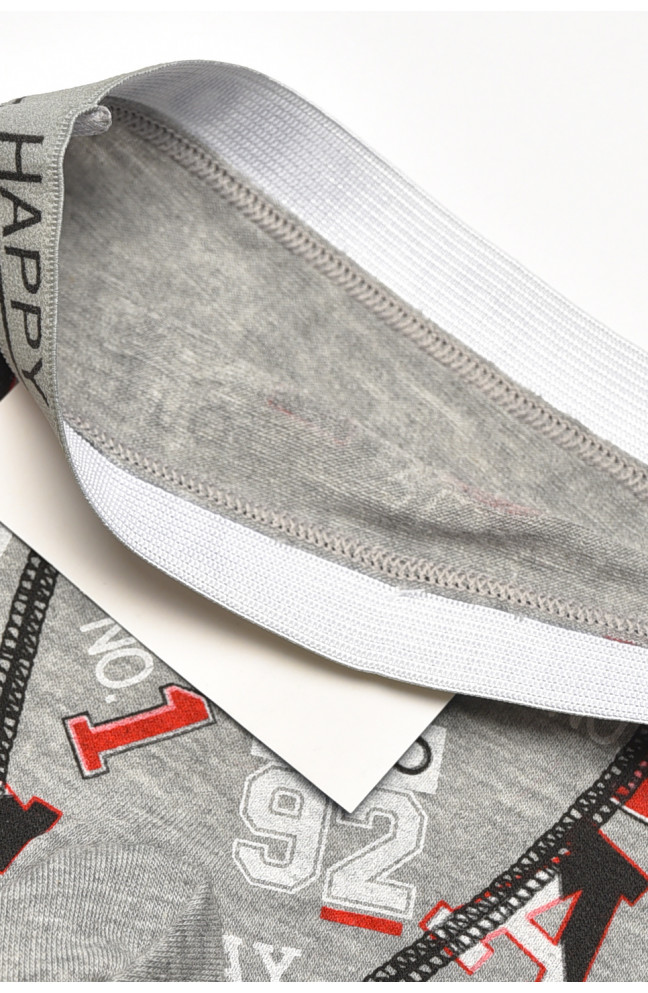 Боксеры детские для мальчика серого цвета с принтом 209265L