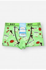 Боксеры детские для мальчика зеленого цвета с принтом 209266L