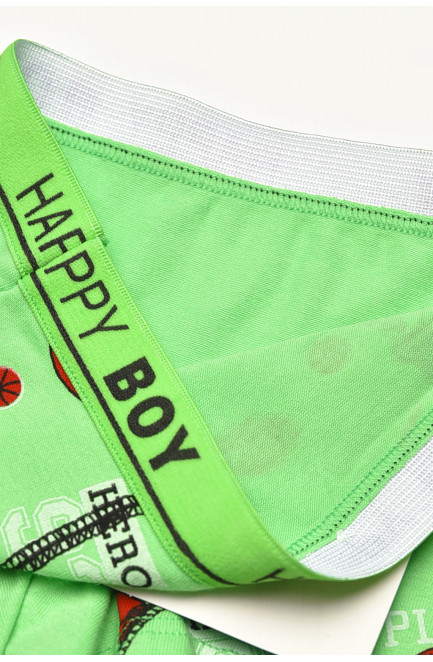 Боксеры детские для мальчика зеленого цвета с принтом 209266L