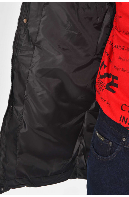 Куртка мужская еврозима чорного цвета 209360L