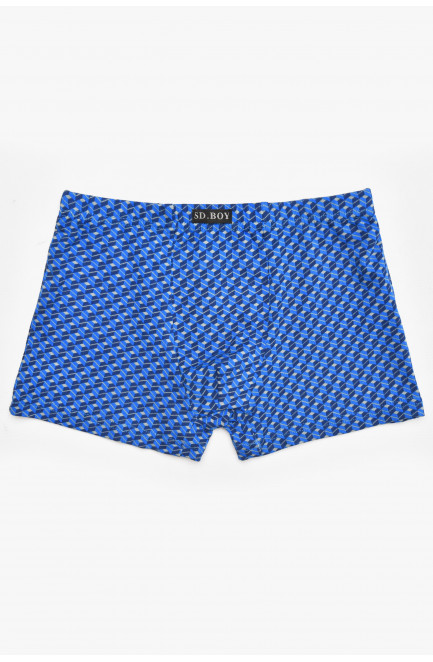 Боксеры детские для мальчика синего цвета с принтом 211871L
