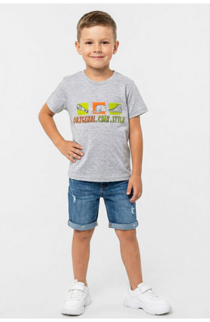 Футболка детская для мальчика серого цвета с принтом 212209L