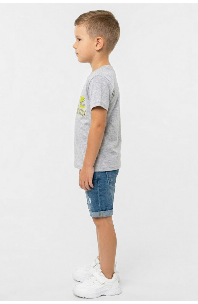 Футболка детская для мальчика серого цвета с принтом 212209L