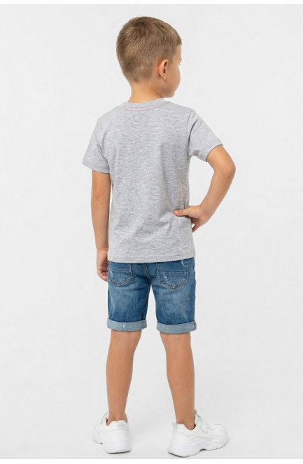 Футболка детская для мальчика серого цвета с принтом 212209L