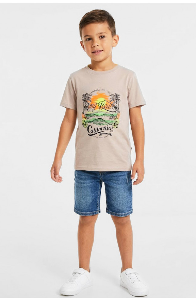 Футболка детская для мальчика бежевого цвета с принтом 212224L